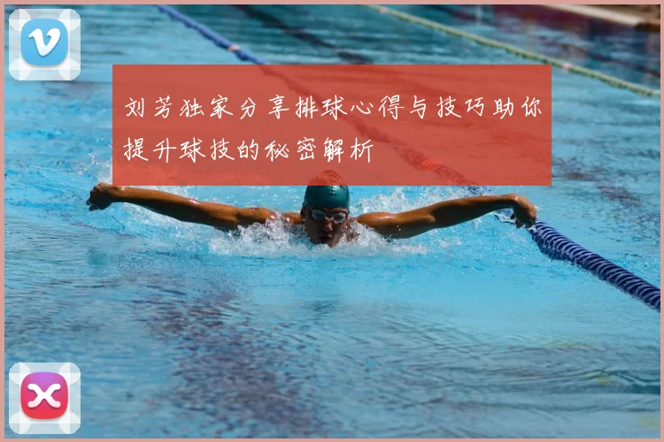 刘芳独家分享排球心得与技巧助你提升球技的秘密解析