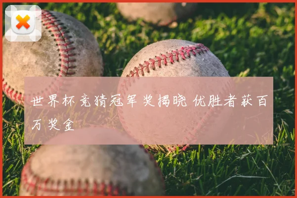 世界杯竞猜冠军奖揭晓 优胜者获百万奖金
