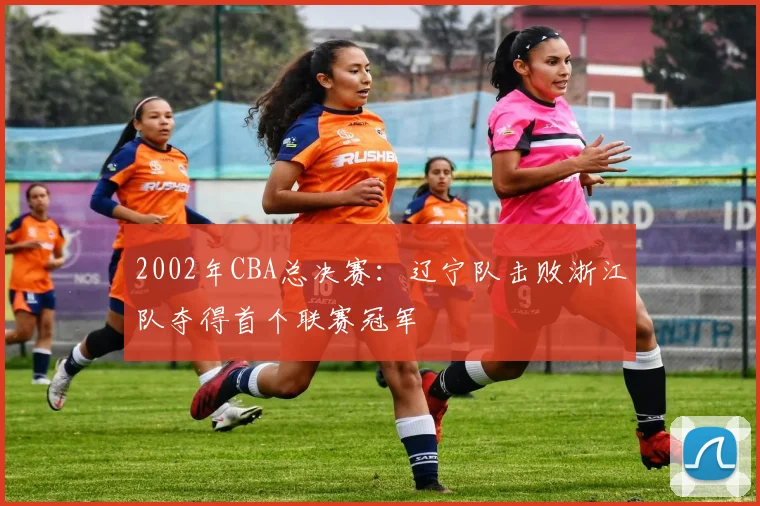 2002年CBA总决赛:辽宁队击败浙江队夺得首个联赛冠军