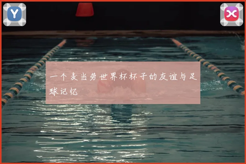 一个麦当劳世界杯杯子的友谊与足球记忆