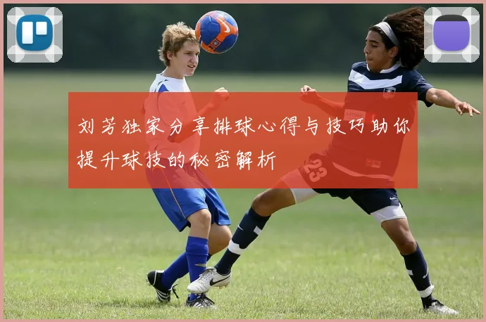 刘芳独家分享排球心得与技巧助你提升球技的秘密解析