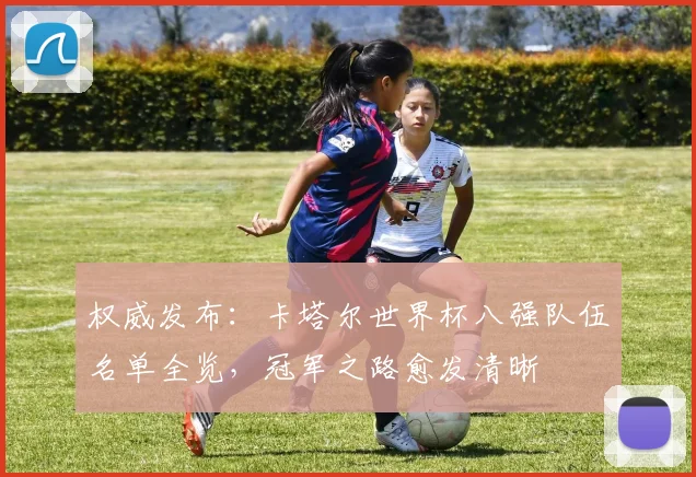 权威发布:卡塔尔世界杯八强队伍名单全览,冠军之路愈发清晰