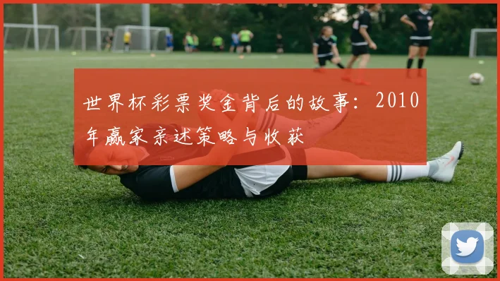 世界杯彩票奖金背后的故事:2010年赢家亲述策略与收获