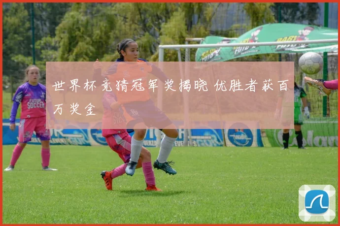 世界杯竞猜冠军奖揭晓 优胜者获百万奖金
