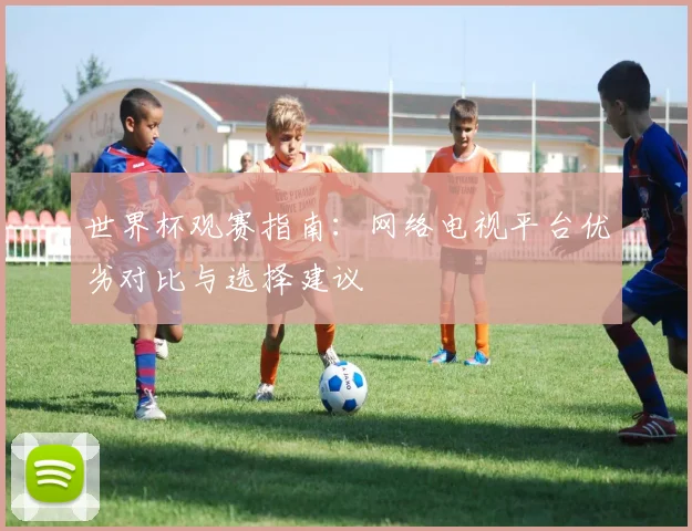 世界杯观赛指南：网络电视平台优劣对比与选择建议