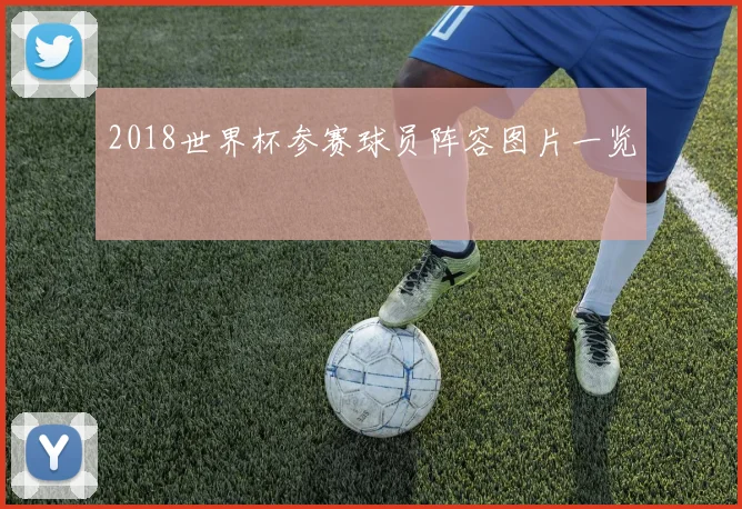 2018世界杯参赛球员阵容图片一览